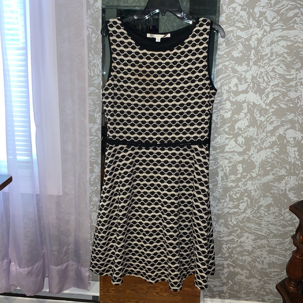 Max Studio Dress